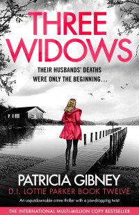 Patricia Gibney — Three Widows: An unputdownable crime thriller with a jaw-dropping twist (Detective Lottie Parker Book 12)