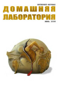 ☺ — Интернет-журнал "Домашняя лаборатория", 2008 №6