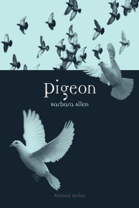 Barbara Allen — Pigeon