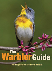 Tom Stephenson — The Warbler Guide