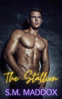 S.M. Maddox — The Stallion (Billionaire Vikings Book 3)