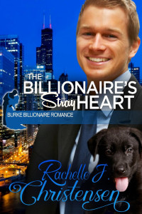 Rachelle J. Christensen — The Billionaire's Stray Heart (Burke Billionaire Romance Book 2)