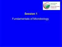 MeldrumR — Fundamentals of Microbiology
