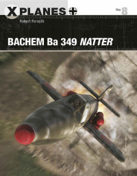 Robert Forsyth — Bachem Ba 349 Natter (X-Planes)