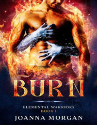 Joanna Morgan & Mystic Owl — Burn (Elemental Warriors Book 1)