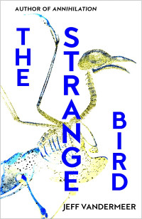 Jeff VanderMeer — The Strange Bird