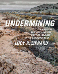 Lucy R. Lippard — Undermining