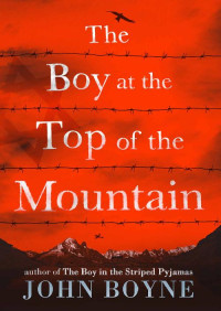 Boyne, John — The Boy At The Top Of The Mountain
