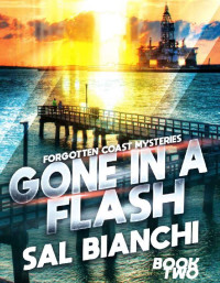 Sal Bianchi — Gone In A Flash
