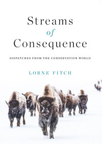 Lorne Fitch — Streams of Consequence