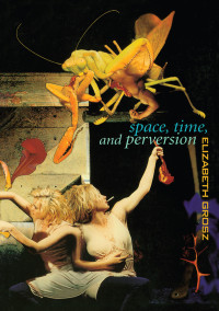 Elizabeth Grosz — Space, Time and Perversion