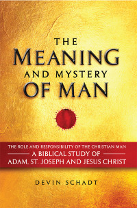 Devin Schadt; — The Meaning and Mystery of Man