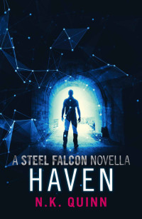 N. K. Quinn [Quinn, N. K.] — Haven (The Steel Falcon #1.5)