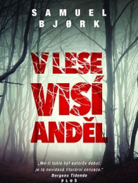 Samuel Bjørk — V lese visí anděl