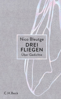 Nico Bleutge; — Drei Fliegen