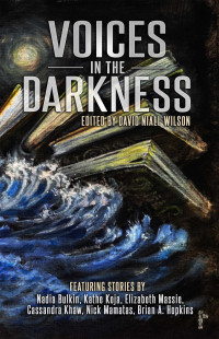 David Niall Wilson [Massie, , Nadia Bulkin, Kathe Koja, Elizabeth] — Voices in the Darkness