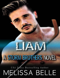 Melissa Belle — Liam (Storm Brothers Book 4)
