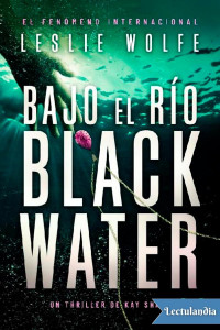 Leslie Wolfe — Bajo el río Blackwater