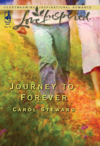 Carol Steward — Journey to Forever