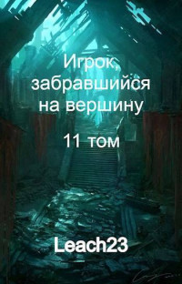 Дмитрий Владимирович Михалек — Игрок, забравшийся на вершину. Том 11 (СИ)