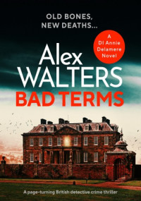 Alex Walters — Bad Terms