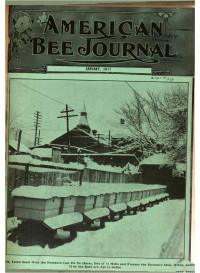 Unknown — American Bee Journal