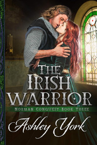 Ashley York — The Irish Warrior