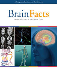 BrainFacts.org — Brain Facts