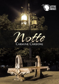 Carmine Carbone — Notte (Italian Edition)