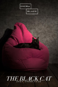 John Todhunter — The Black Cat