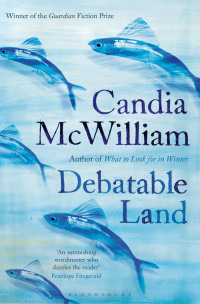 Candia McWilliam — Debatable Land