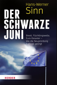 SINN, HANS-WERNER. — Der Schwarze Juni