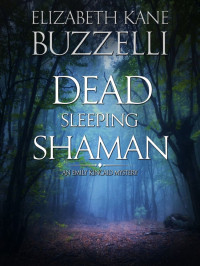 Buzzelli, Elizabeth Kane — Emily Kincaid Mystery 03-Dead Sleeping Shaman