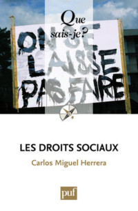 Carlos Miguel Herrera — Les droits sociaux