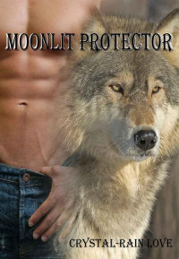 Crystal-Rain Love — Moonlit Protector (Moonlit Novella #3)