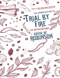 David W Robinson — Trial by Fire (#14 - Sanford Third Age Club Mystery) (STAC - Sanford Third Age Club Mystery)