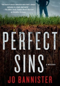 Jo Bannister — Perfect Sins