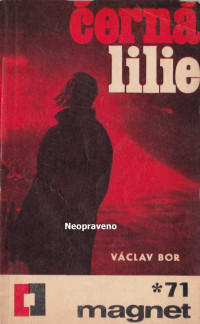 Neznámý autor — Černá lilie