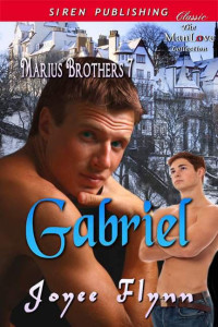 Joyee Flynn — Gabriel (Marius Brothers #7)