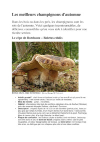 Claude GUYOT — Les meilleurs champignons d'automne Gerbaud