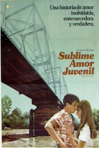 Herman Raucher — Sublime amor juvenil