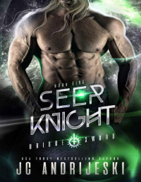 JC Andrijeski — Seer Knight: A Fated Mates, Enemies to Lovers, Psychic Warfare and Apocalyptic Romance (Bridge and Sword Book 5)
