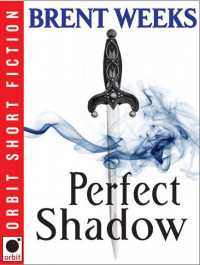 Brent Weeks — Perfect Shadow: A Night Angel Novella
