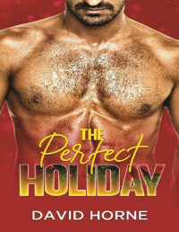 David Horne — The Perfect Holiday