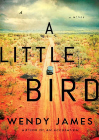 Wendy James — A Little Bird: A Novel