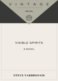 Steve Yarbrough — Visible Spirits