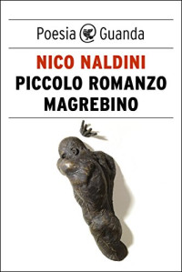 Nico Naldini — Piccolo romanzo magrebino