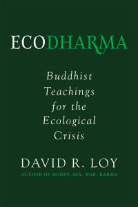 David Loy — Ecodharma