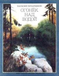 Василий Алексеевич Бочарников — Огонёк над водой