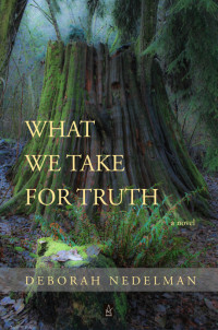 Deborah Nedelman — What We Take For Truth